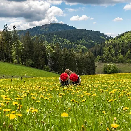 Apartament Haslachstrasse, Falkau, Feldberg Bruderhalde